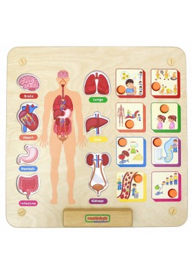Masterkidz tablica edukacyjna układ ciała ludzkiego montessori