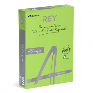 Papier ksero rey adagio, a4, 80gsm, 16 zielony vive/bright *ryada080x402 r100, 500 ark. - 5 szt