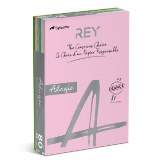 Papier ksero rey adagio, a4, 80gsm, mix kolorów pastel, *ryada080x905 r200, 5x100 ark. - 5 szt