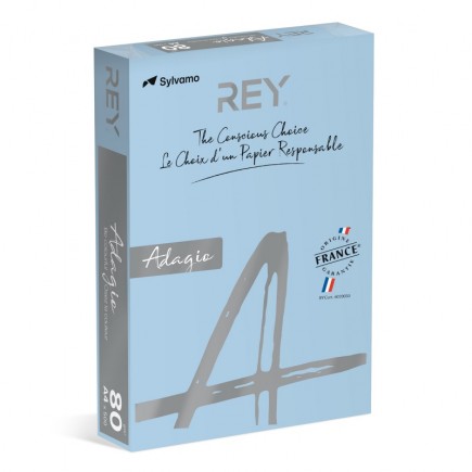 Papier ksero rey adagio, a4, 80gsm, 01 niebieski pastel *ryada080x419 r200, 500 ark. - 5 szt