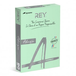 Papier ksero rey adagio, a4, 80gsm, 09 zielony pastel *ryada080x432 r200, 500 ark. - 5 szt