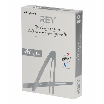 Papier ksero rey adagio, a4, 80gsm, 06 szary vive/bright *ryada080x409 r100 - 5 szt