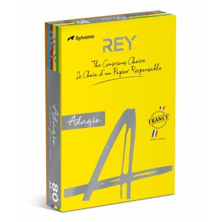 Papier ksero rey adagio, a4, 80gsm, mix kolorów intens, *ryada080x906 r200, 5x100 ark.