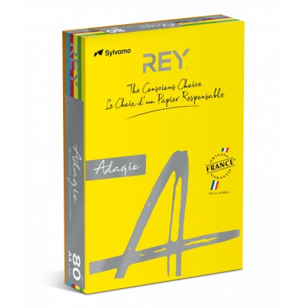 Papier ksero rey adagio, a4, 80gsm, mix kolorów intens, *ryada080x906 r200, 5x100 ark.