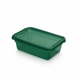 Pojemnik do przechowywania moxom basestore color, 3l, transparentny zielony