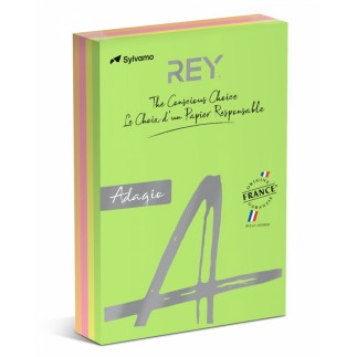 Papier ksero rey adagio, a4, 80gsm, mix kolorów fluo, *ryada080x909 r200, 4x125 ark.