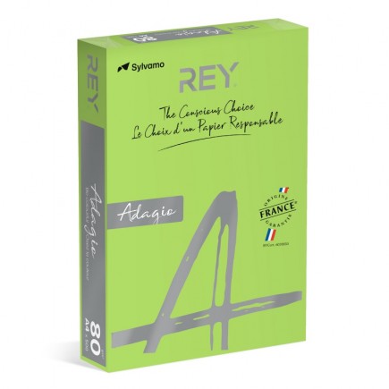 Papier ksero rey adagio, a4, 80gsm, 16 zielony intense *ryada080x402 r100, 500 ark.